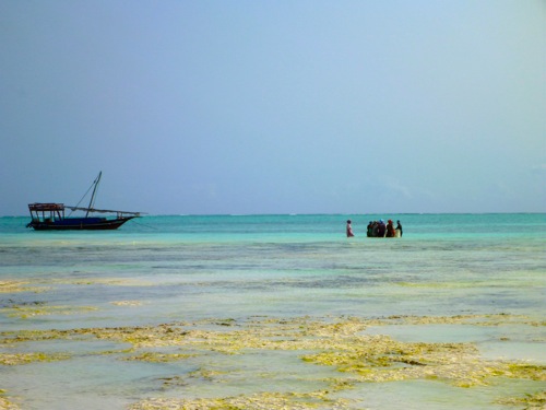 Zanzibar Flats