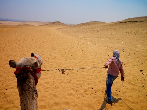 camelGuideGiza