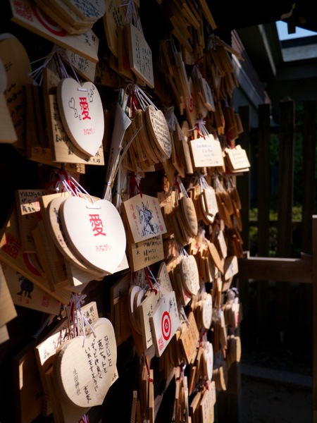 Ikuta Shrine 3